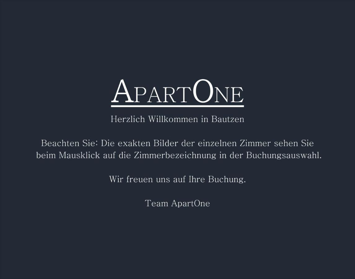 Apartone Altstadt-Apartments 包岑 外观 照片